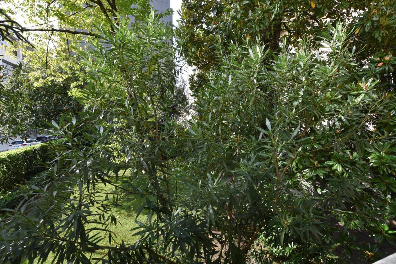 Lake Como Holiday Apartments المظهر الخارجي الصورة